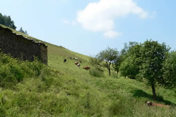 Schiltach Kinzigtal