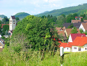 Müllheim im Markgräflerland Britzingen, Dattingen, Feldberg, Hügelheim, Niederweiler, Vögisheim und Zunzingen