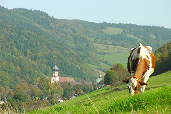 Münstertal im Schwarzwald