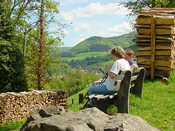 Münstertal im Schwarzwald