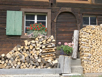 Münstertal im Schwarzwald