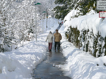 Münstertal im Schwarzwald