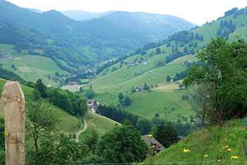 Wandern im Münstertal