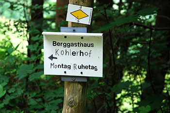 Wandern im Münstertal