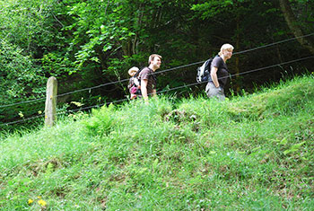 Wandern im Münstertal