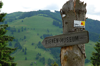 Wandern im Münstertal