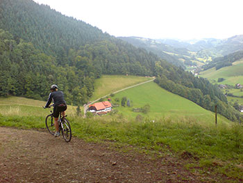 Mountainbike in Münstertal und Staufen