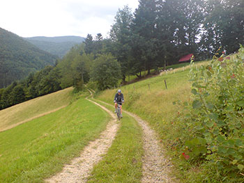 Mountainbike in Münstertal und Staufen