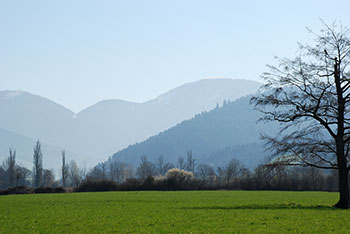 Münstertal im Schwarzwald