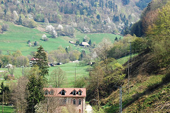 Münstertal im Schwarzwald