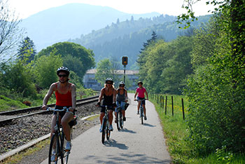 Mountainbike in Münstertal und Staufen