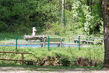 Wassertreten nach Kneip im Münstertal