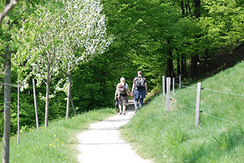 Wandern im Münstertal