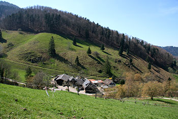 Wandern im Münstertal