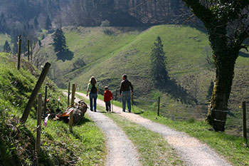 Wandern im Münstertal