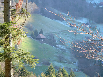 Schwarzwaldhaus  in Münstertal