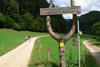 Münstertal im Schwarzwald