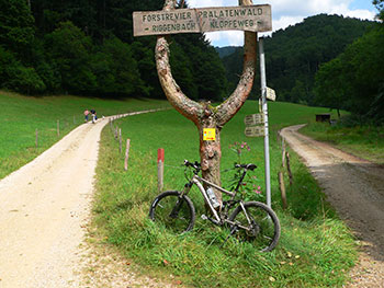 Mountainbike in Münstertal und Staufen