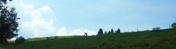 Mountainbike in Münstertal und Staufen