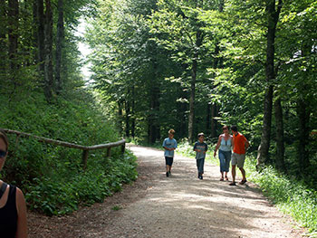 Wandern im Münstertal