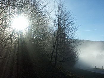 Münstertal im Schwarzwald