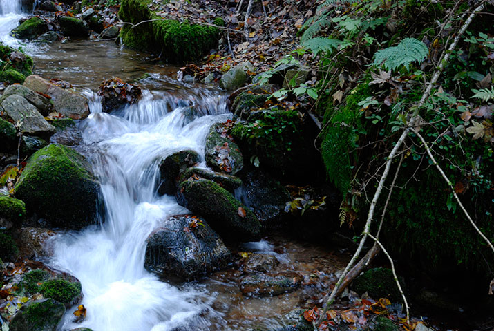 Wandern im Münstertal