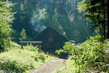 Münstertal im Schwarzwald