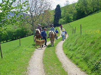 Wandern im Münstertal