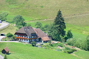 Wandern im Münstertal