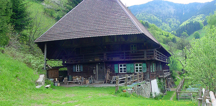 Schwarzwaldhaus  in Münstertal