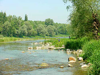 Neuenburg am Rhein