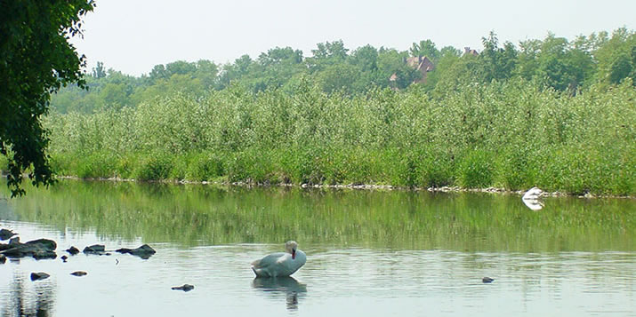 Radtourvon  Neuenburg am Rhein nach Breisach