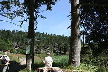 Nonnenmattweier in Neuenweg im kleinen Wiesental