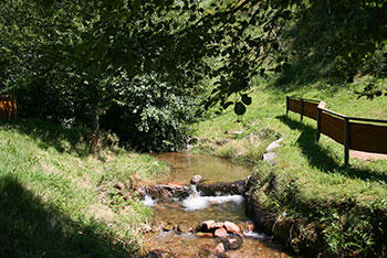 Neuenweg im kleinen Wiesental