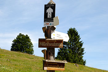 Nonnenmattweier in Neuenweg im kleinen Wiesental