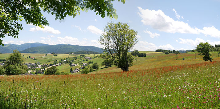 Oberried im Schwarzwald