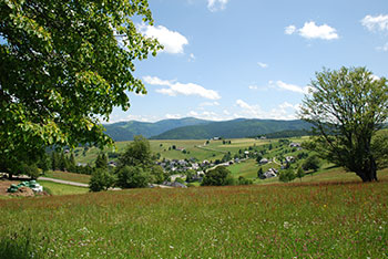 Oberried im Schwarzwald