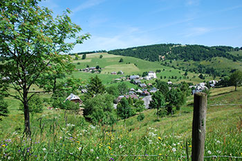 Oberried im Schwarzwald