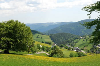 Oberried im Schwarzwald