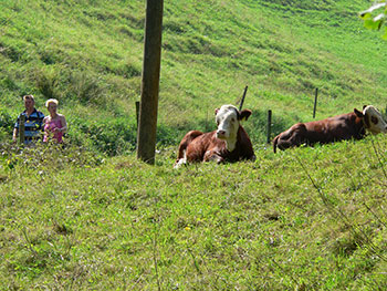 Oppenau im Renchtal