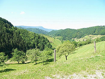 Oppenau im Renchtal