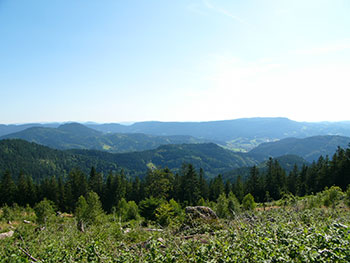 Oppenau im Renchtal