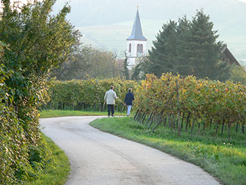 Radtour: Staufen Grunern Sulzburg Staufen im Breisgau