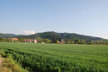 Radtour: Staufen Grunern Sulzburg Staufen im Breisgau