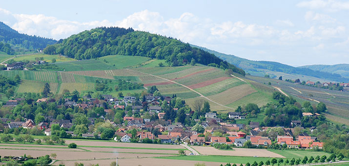 Radtour: Staufen Grunern Sulzburg Staufen im Breisgau