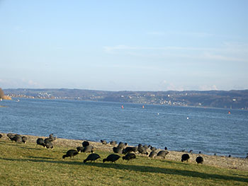 Radtour - Stein am Rhein