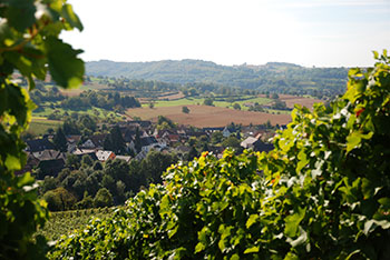 Mauchen im Markgräflerland