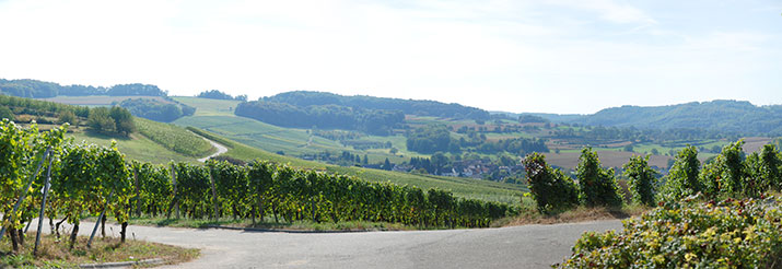 Mauchen im Markgräflerland