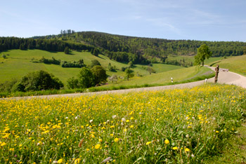 Schönau im Wiesental, Schwarzwald