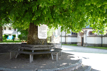 Schönau im Wiesental, Schwarzwald